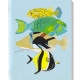 Parfum d'Ambiance Diploria - Corail Collection - Parfum des Iles 100 ml