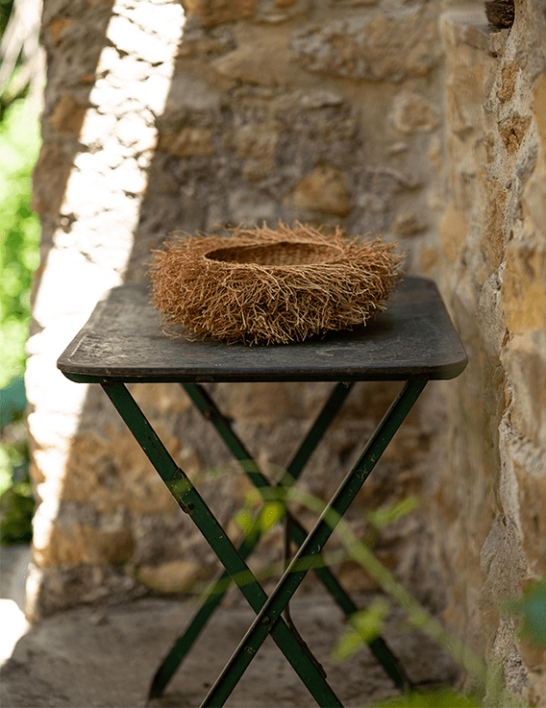 Nid en vétiver de Madagascar