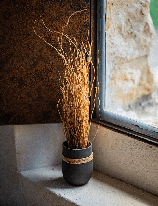 Nid en vétiver de Madagascar