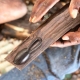 Cuillère à épices en bois d’ébène de Tanzanie