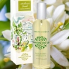 Parfum d'intérieur Fleur d'Oranger Nuit Antillaise 100 ml - Parfums des Îles