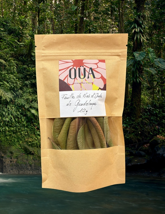 Bois d'Inde Feuilles entières de Guadeloupe 10 g - Domaine de Campry