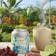 Ttisane gourmande "Bonheur Créole" à l'atoumo, au bissa, citron vert et baies roses BIO