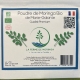 Moringa BIO en poudre - Qualité Premium - Ferme de Moringa - Marie-Galante - 75 g