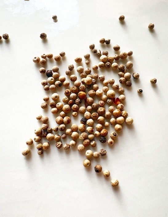 Poivre blanc de Penja - Grains - Origine Martinique - 50 g - Les Frères de la Côte