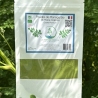 Poudre de Moringa BIO de Marie-Galante - Qualité Premium - 75 g - Ferme de Moringa