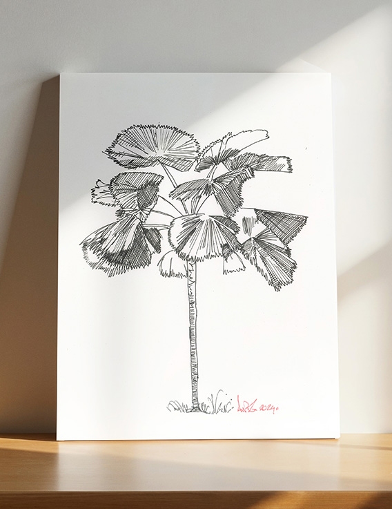 Licuala II par AWOZ Dessin à l'Encre - 30x42 cm - Reproduction 4/50 - Guadeloupe