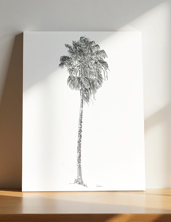 Grand Palmier par Awoz – Dessin à l'Encre - 21 x 29,7 cm - Guadeloupe