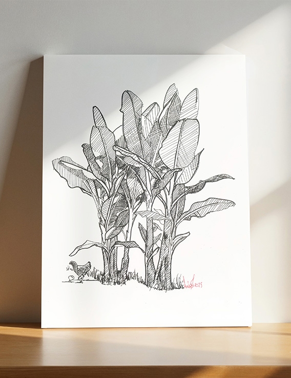 Man poul et Bananiers par Awoz – Dessin à l'Encre - 24x32 cm - Reproduction Numérotée - Guadeloupe