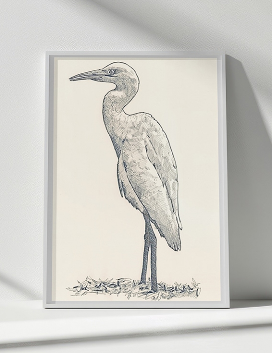 Pik Bèf - Encre sur Papier - 40 x 60 cm - Œuvre Originale - Awoz - Guadeloupe