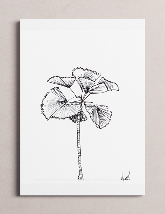 Licuala par AWOZ – Dessin à l'Encre - 24x32 cm - Reproduction Numérotée - 2022 - Guadeloupe