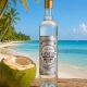 Bielle - Liqueur de coco 24° - Marie-Galante