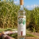 Bielle Canne Grise - Rhum Blanc 59° - 50 cl - Marie-Galante