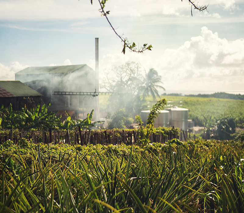 Distillerie Longueteau en activité