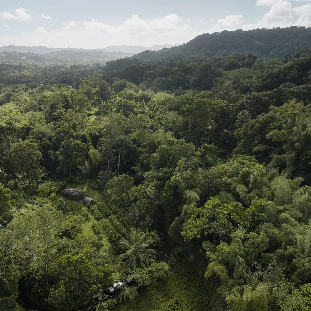 Jardin de l'Herboristerie Creole vu du ciel